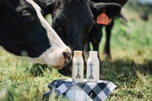 A State Investigation Into Trickling Springs Creamery’s Finances Preceded Its Sudden Closure