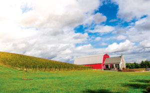 This Union Station Train Will Take You to the Best Parts of Virginia Wine Country