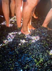 Stomp Grapes at These 3 Fun Wine Festivals Near DC