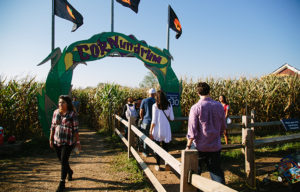 Amazing Mazes Worth Getting Lost In