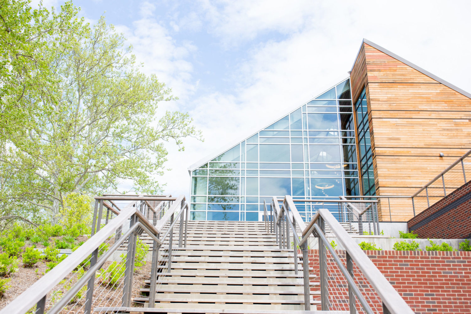 View More: https://taylorrose.pass.us/ethical-wedding-with-beta-fish-centerpieces View More: https://taylorrose.pass.us/ethical-wedding-with-beta-fish-centerpieces