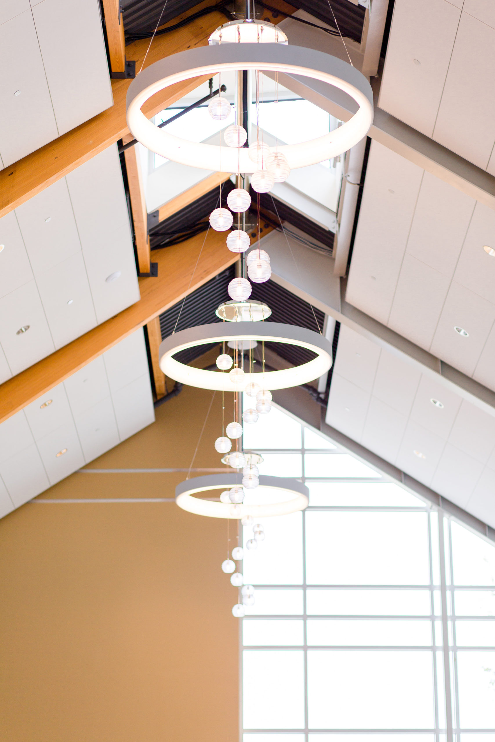 View More: https://taylorrose.pass.us/ethical-wedding-with-beta-fish-centerpieces View More: https://taylorrose.pass.us/ethical-wedding-with-beta-fish-centerpieces