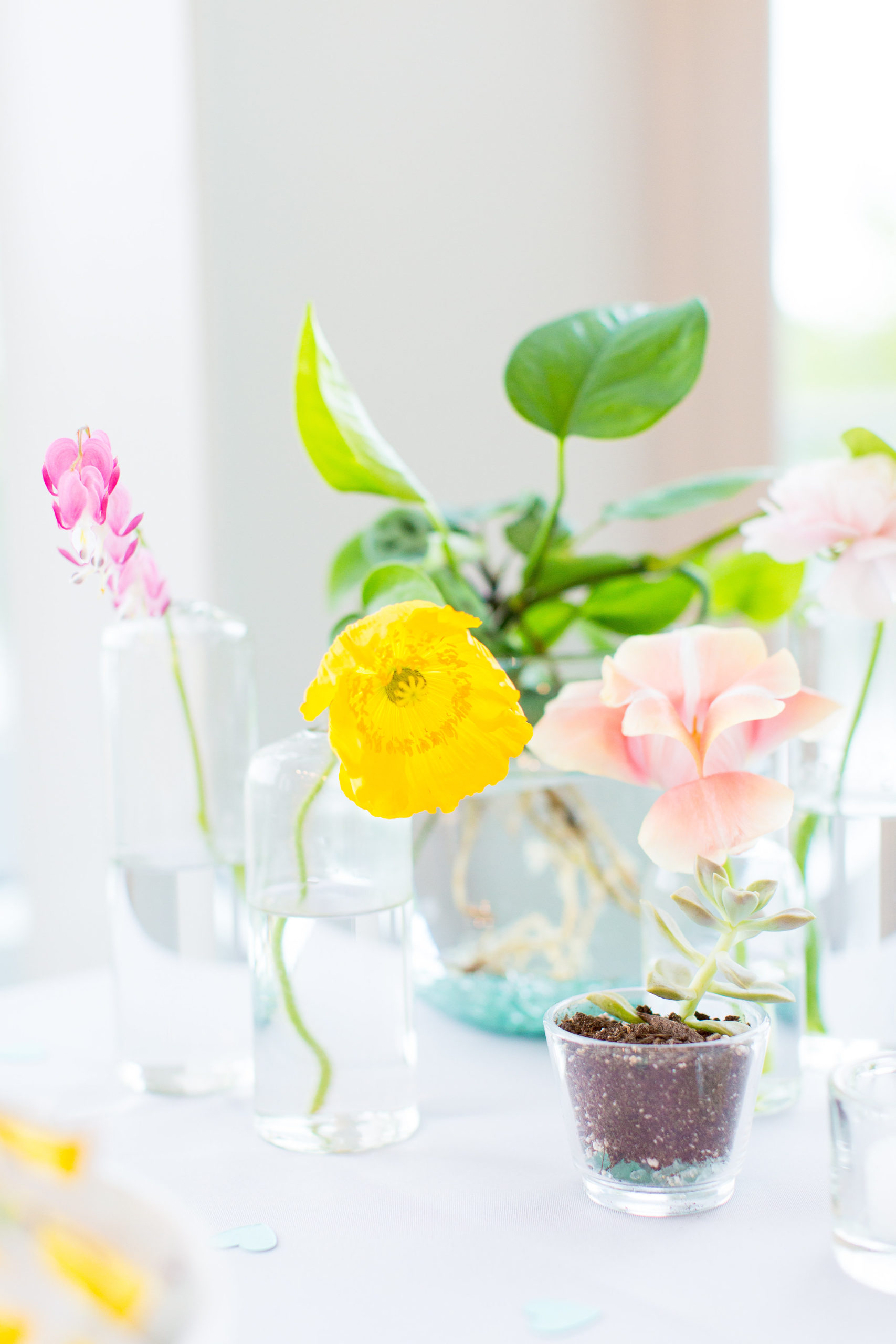 View More: https://taylorrose.pass.us/ethical-wedding-with-beta-fish-centerpieces View More: https://taylorrose.pass.us/ethical-wedding-with-beta-fish-centerpieces