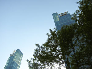 USA Today Still Won’t Explain the Slur in Peter Navarro’s Fauci-Bashing Op-Ed