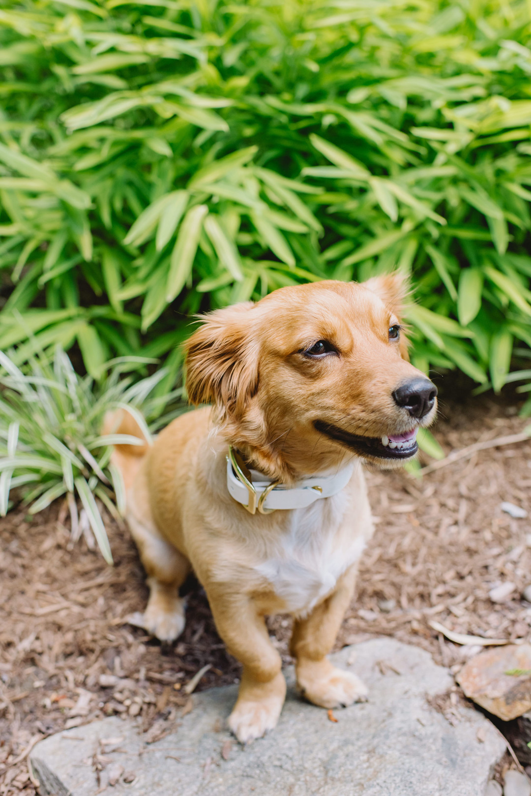 Hamilton_Reif_L_big. Hewitt Photography_LHP6218 Hamilton_Reif_L_big. Hewitt Photography_LHP6218