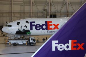 How Do You FedEx a Panda to China? We Talked to the People Overseeing the Trip