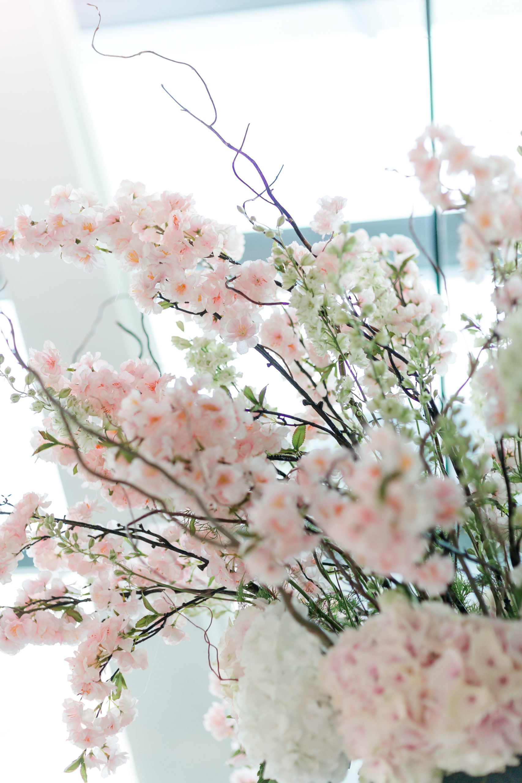 RivaandPeter0124 RivaandPeter0124