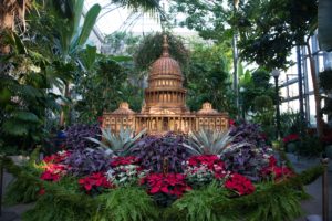 What to Do If You Want to Get Out of the House on Thanksgiving Day