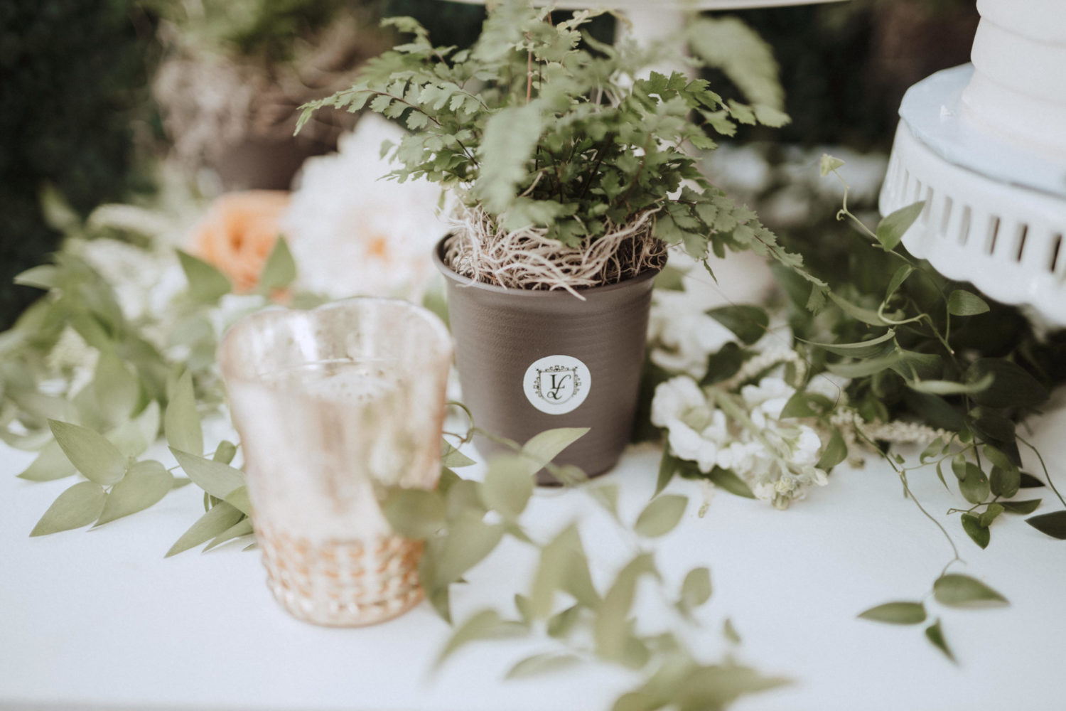 Stephen & Damany's Wedding Stephen & Damany's Wedding