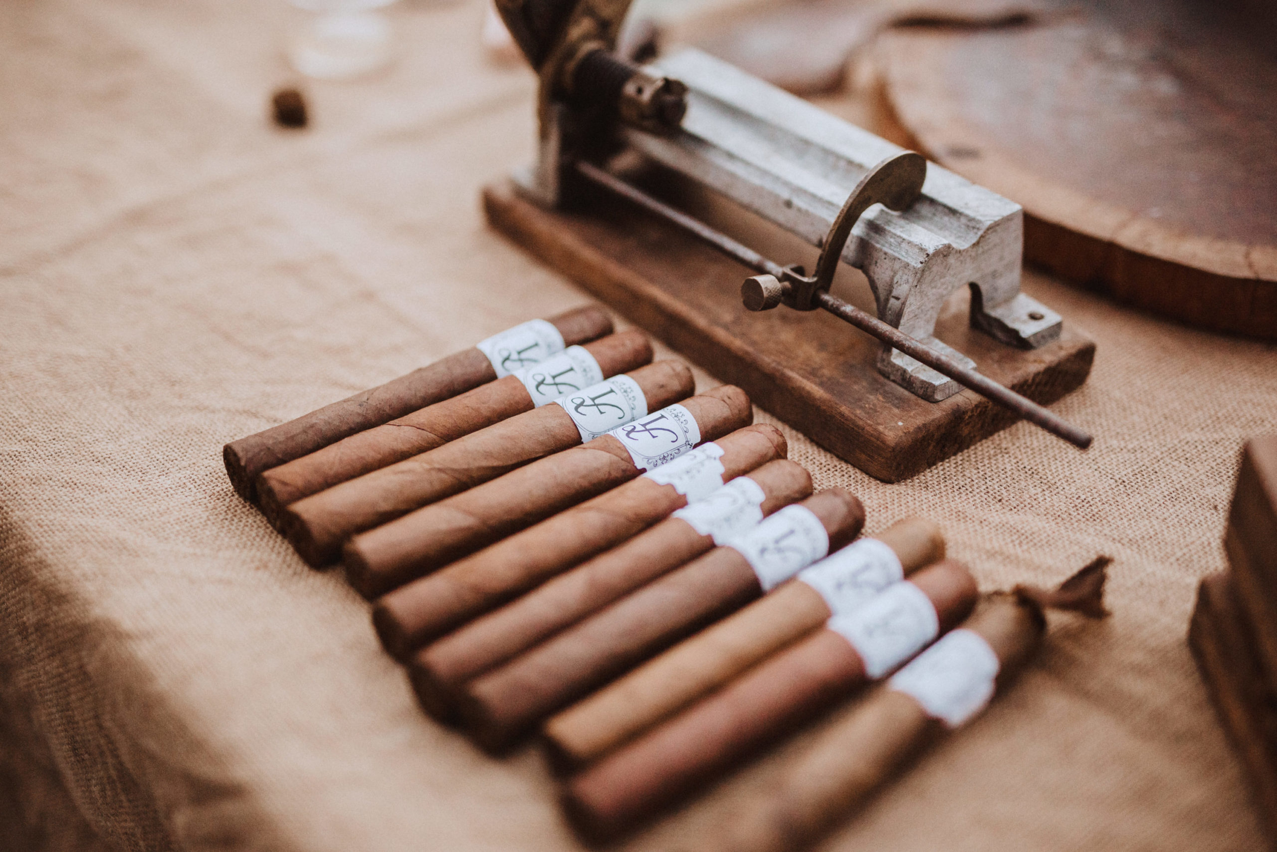 Stephen & Damany's Wedding Stephen & Damany's Wedding