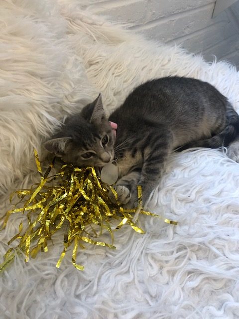 IMG_7061 2 IMG_7061 2