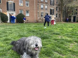 These Cleveland Park Residents Had a Social-Distance Sing-Along Dance Party