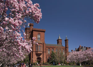 The Smithsonian Cancels All Public Programming Due to Coronavirus Concerns