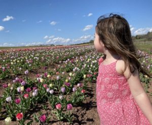 These Virginia Fields of Endless Tulips Are the (Social-Distance-Safe) Escape We Need Right Now
