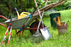 Four Ways to Spruce Up Your Yard Right Now