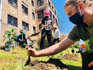 This Environmental Group Planted Hundreds of Plants for Earth Day