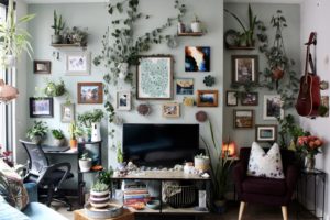 Look Inside My Home: A Logan Circle One-Bedroom With a Turquoise Couch and a Dachshund Mix Named Gus