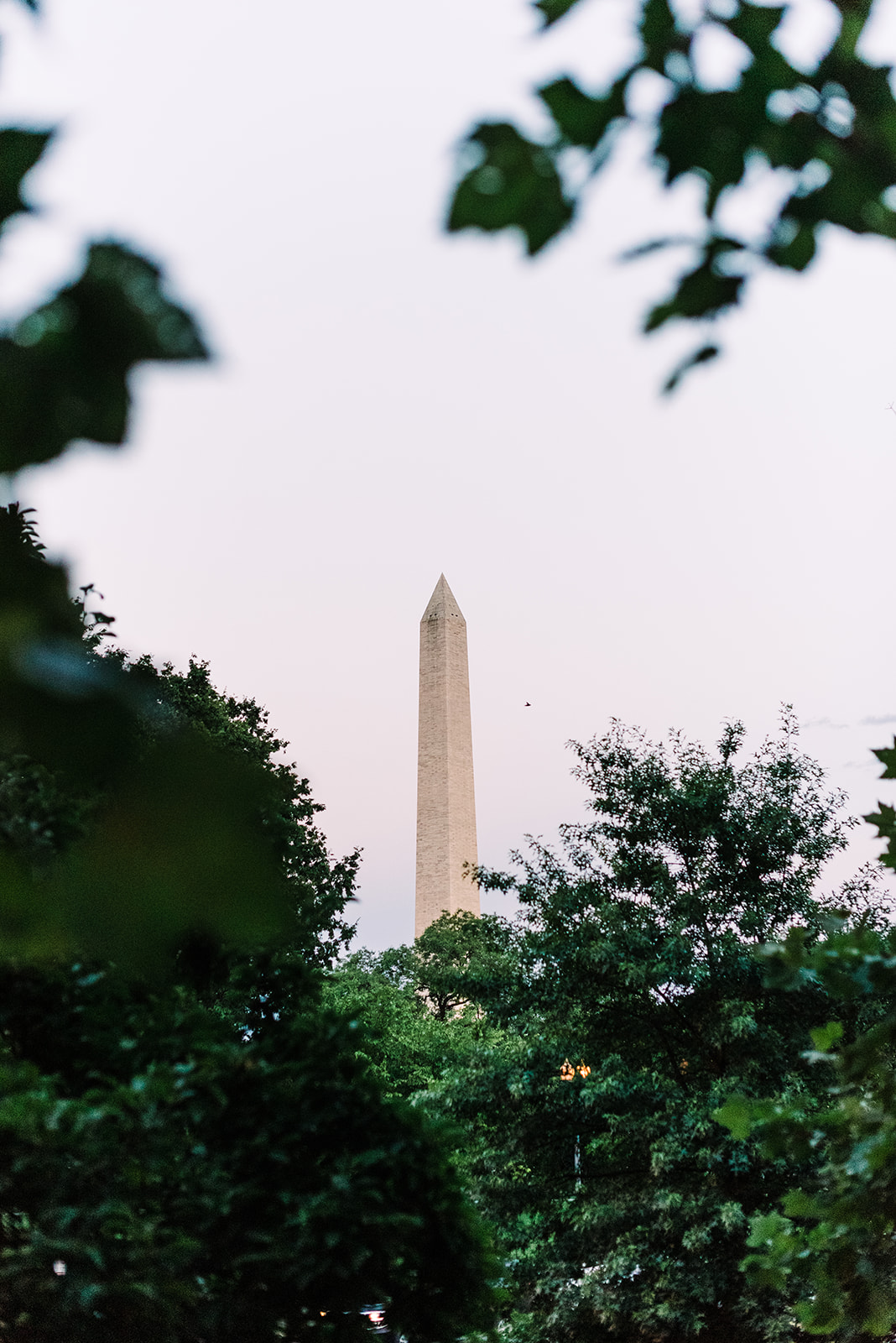 Weiner Wedding Weiner Wedding