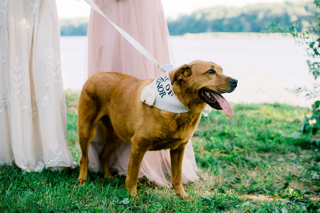 20190623_4287-1 20190623_4287-1