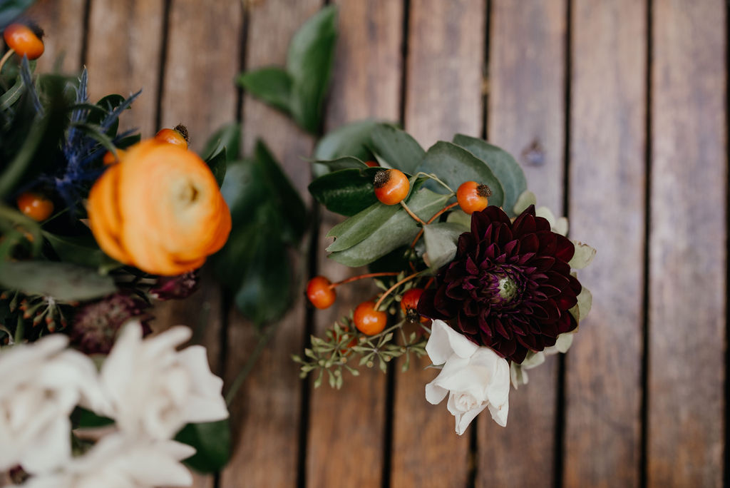 AmanandKate(749of1049) AmanandKate(749of1049)