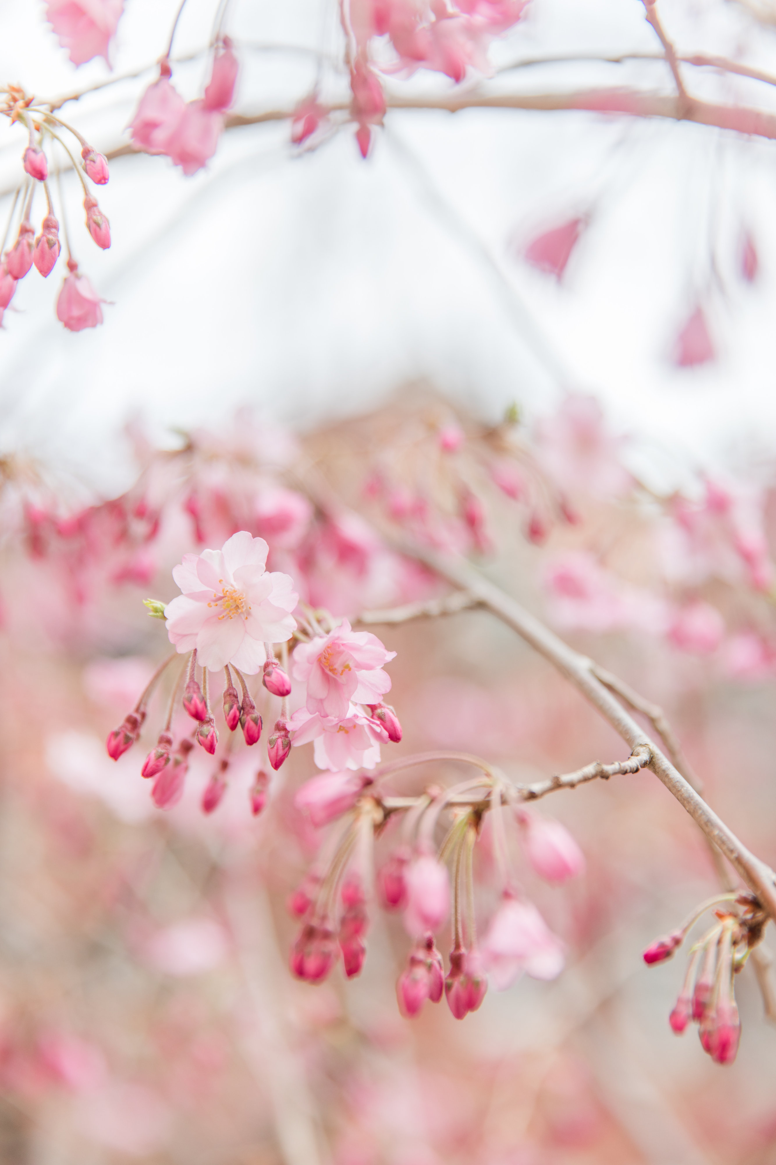 Katelyn & Nathan Katelyn & Nathan