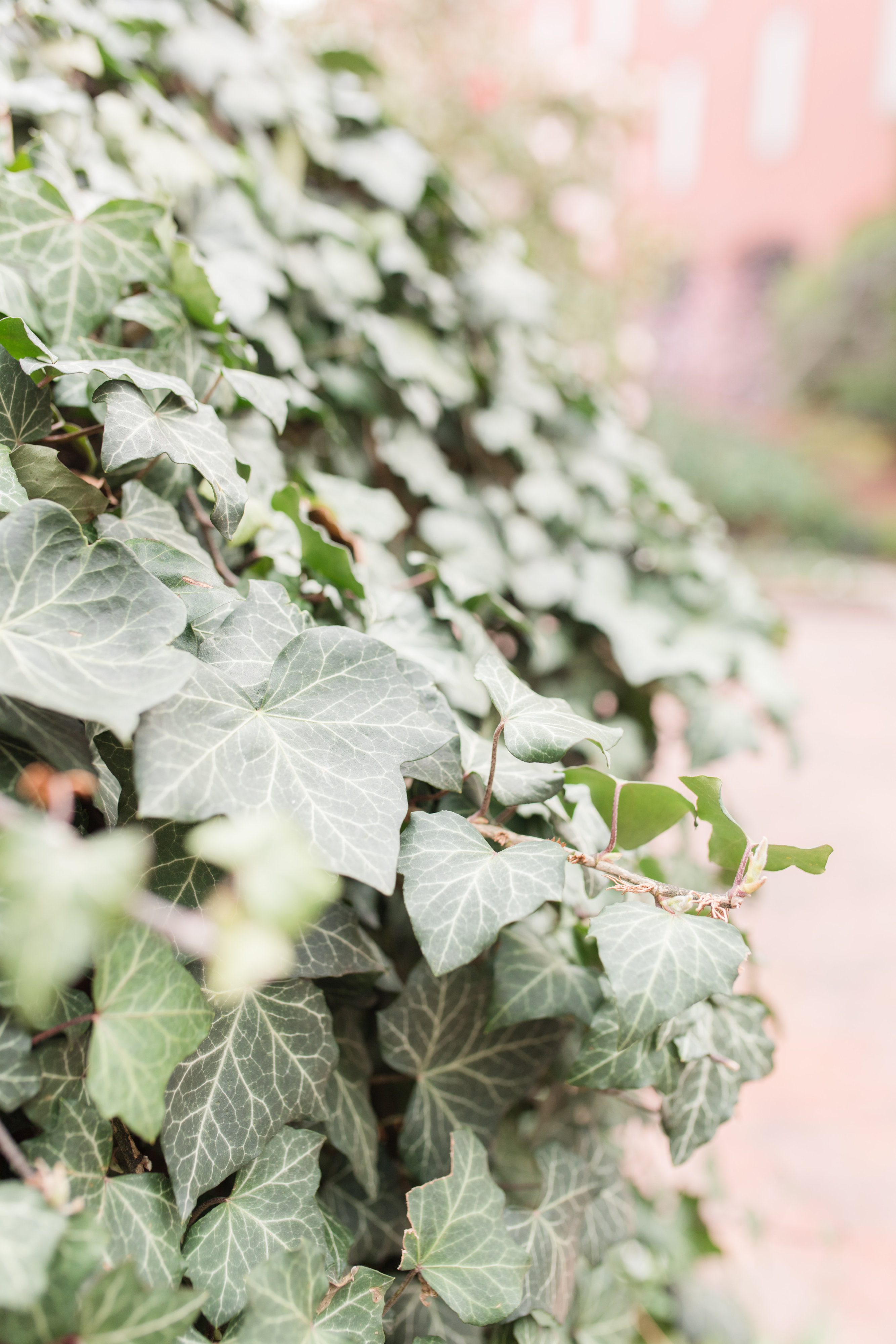 Katelyn & Nathan Katelyn & Nathan