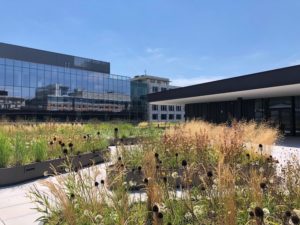 José Andrés’ ThinkFoodGroup Will Help Make the Cafe Menu at MLK Library
