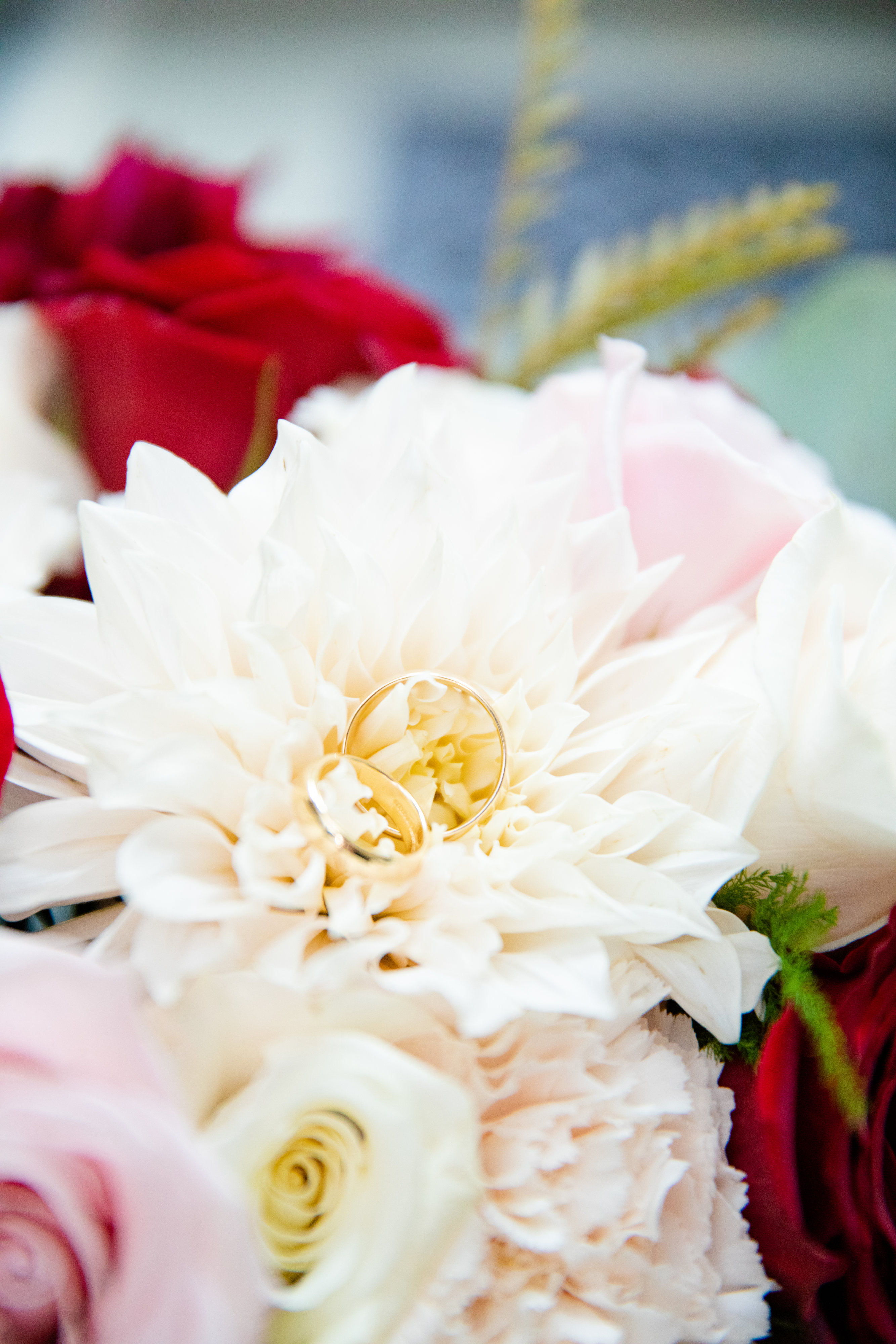 StefanieKamermanPhotography-MelanieandBenjamin-Wedding-Bethesda,MD-2019-10-12-71 StefanieKamermanPhotography-MelanieandBenjamin-Wedding-Bethesda,MD-2019-10-12-71