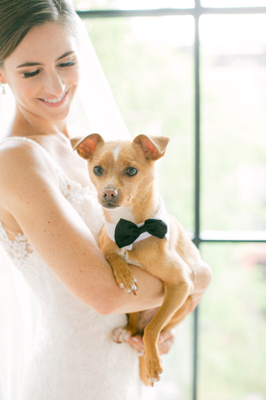 319Eryn_Rob_WeddingAP_07239 319Eryn_Rob_WeddingAP_07239