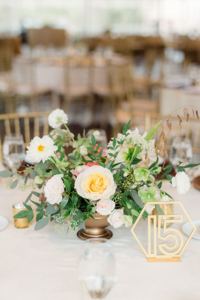 Alex-Rachel-Wedding-809 Alex-Rachel-Wedding-809