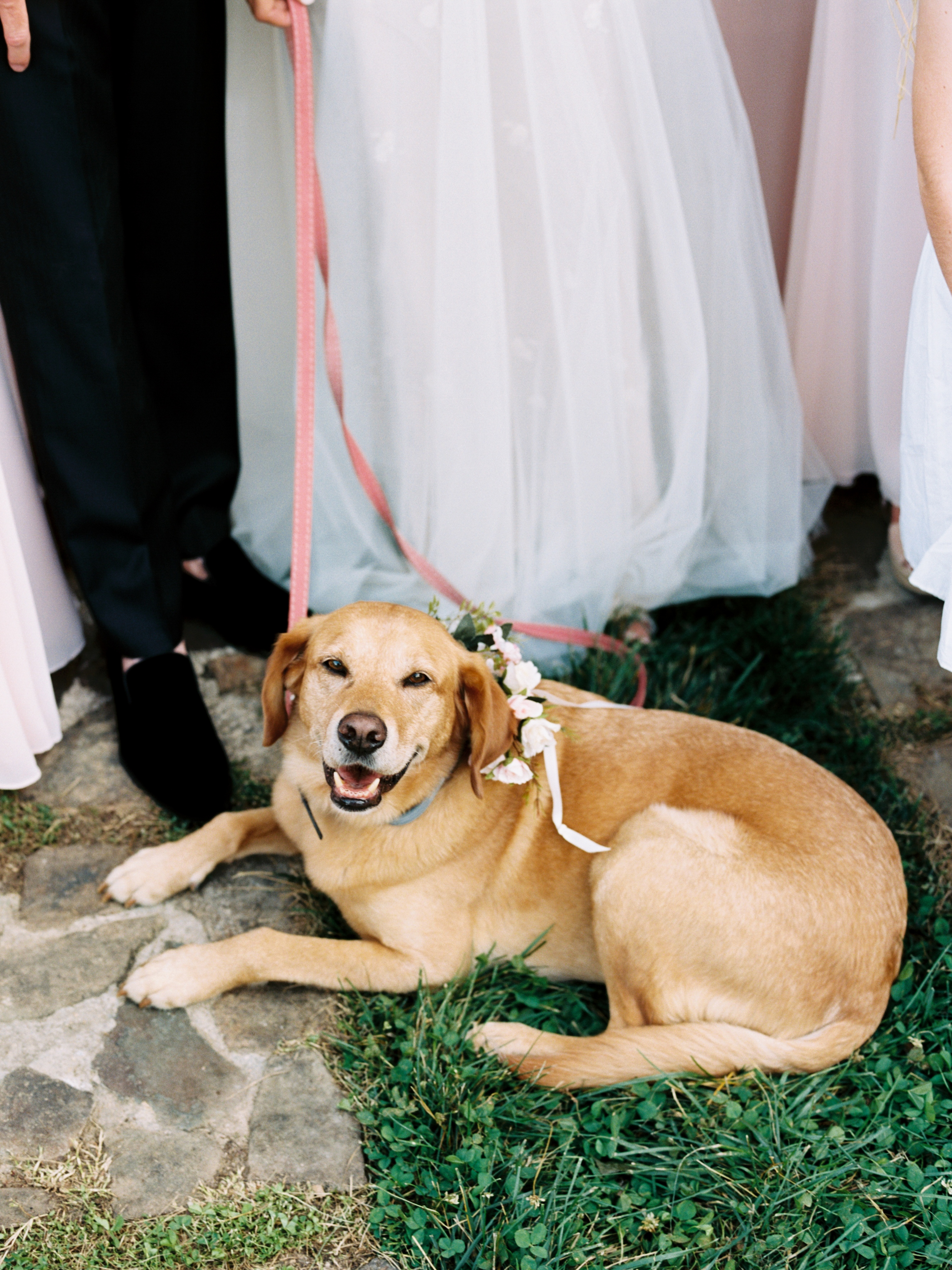 J+CWEDDING0536 J+CWEDDING0536