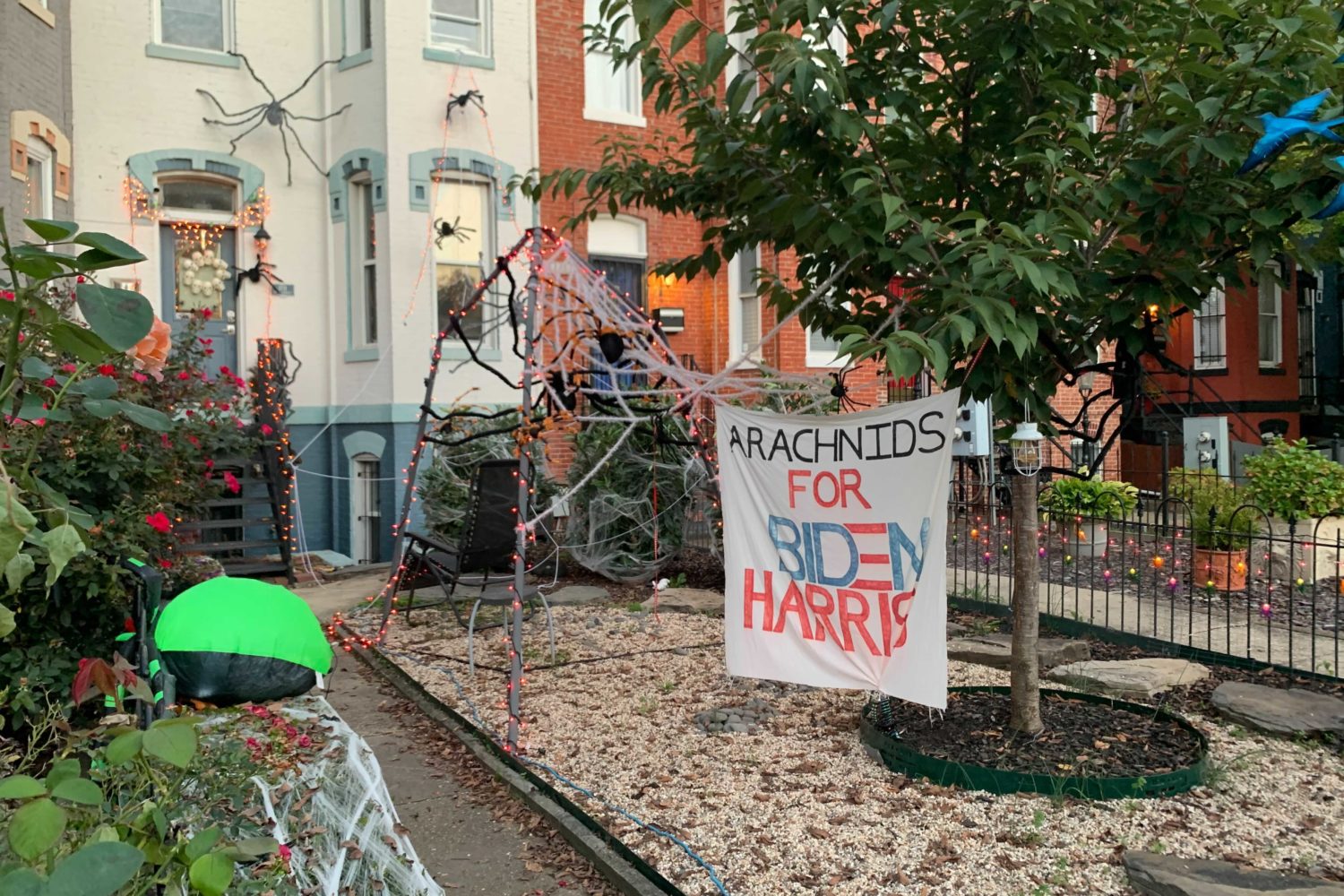 Photograph by Hannah Good.