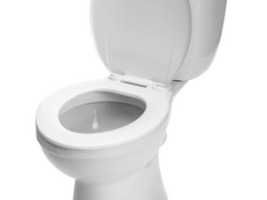 Seat of Power: A Brief History of Toilets in the White House