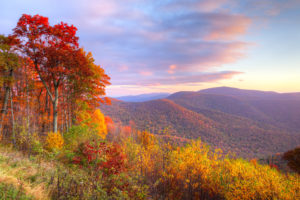 Here’s When Fall Foliage Will Peak Around the DMV