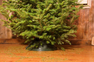 How to Get Rid of Your Christmas Tree in DC, Maryland, and Virginia