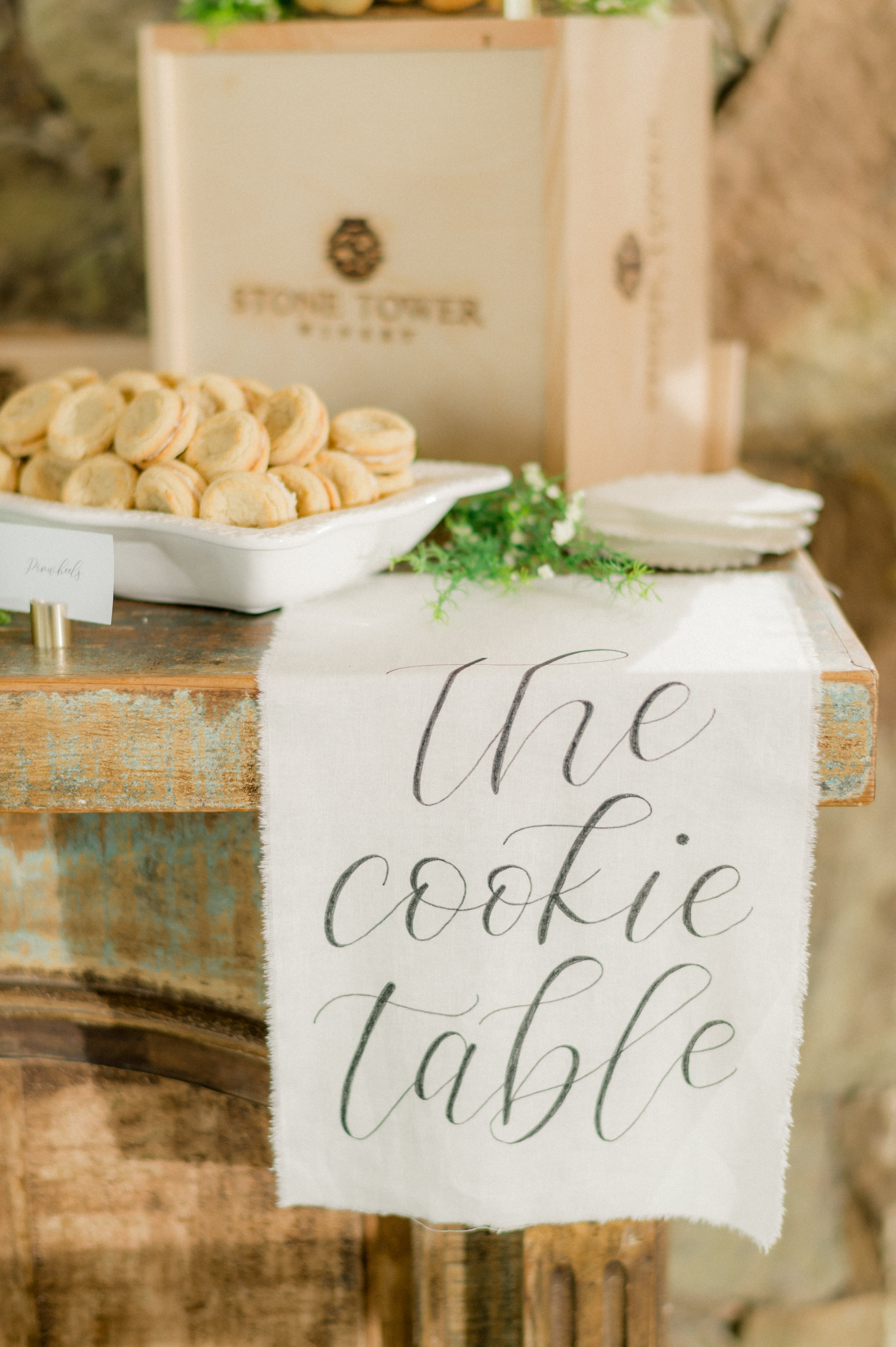 Connor-Alli-Wedding-photo-130