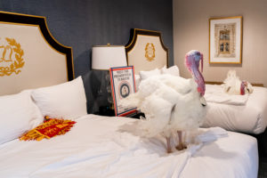 Today Only: You Can Vote for Your Favorite Turkey at the White House