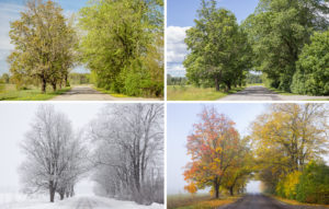 These “Four Seasons” Businesses Around DC Might Be Available for Press Conferences