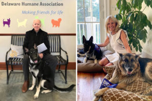 Meet America’s New First Dogs, Champ and Major Biden