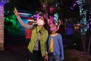 Where to See Festive Holiday Light Displays Around Washington