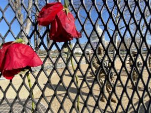 Gallaudet Student Accused of Taking Part in Capitol Riot