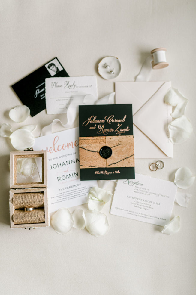 romin-johanna-wedding-preview-14 romin-johanna-wedding-preview-14