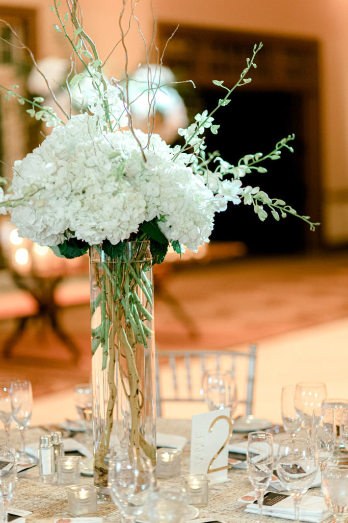 romin-johanna-wedding-preview-241 romin-johanna-wedding-preview-241