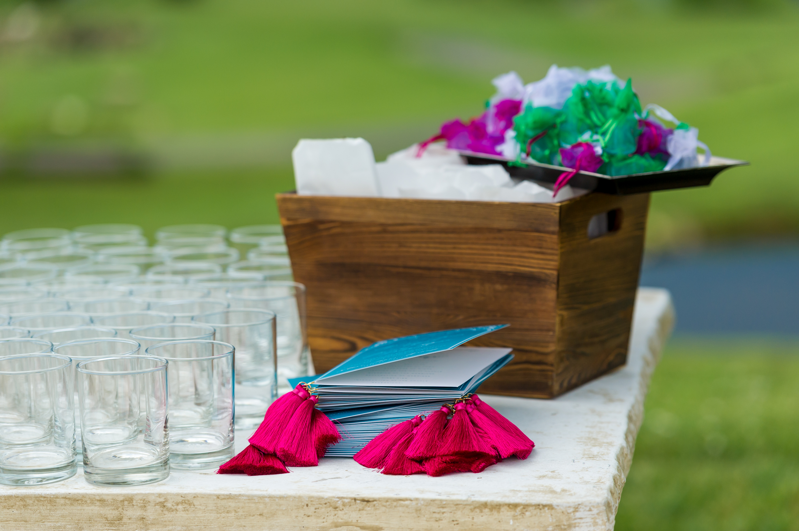 060219_(C)Procopio_Photography_RG-1223 060219_(C)Procopio_Photography_RG-1223