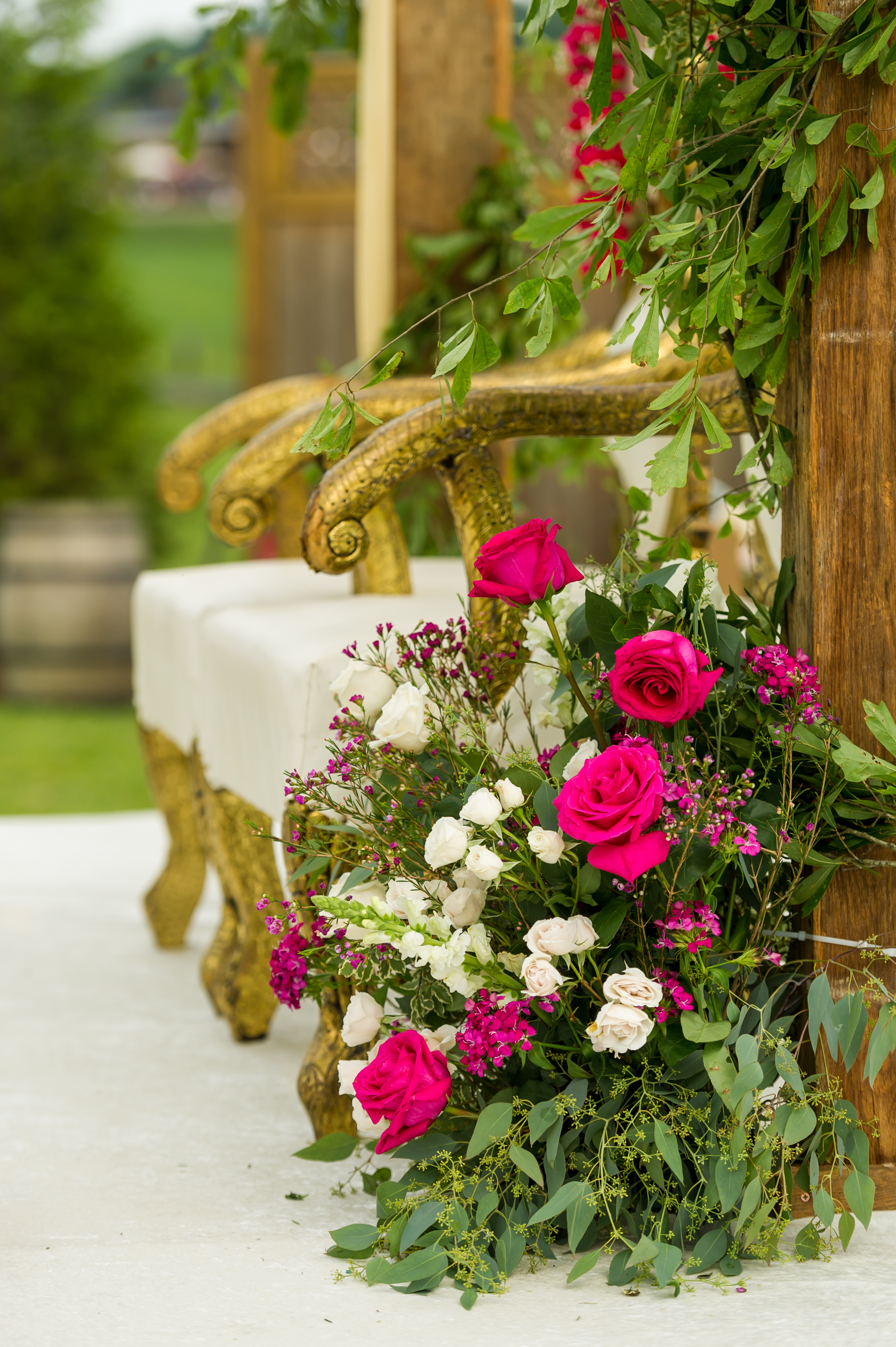 060219_(C)Procopio_Photography_RG-1241 060219_(C)Procopio_Photography_RG-1241