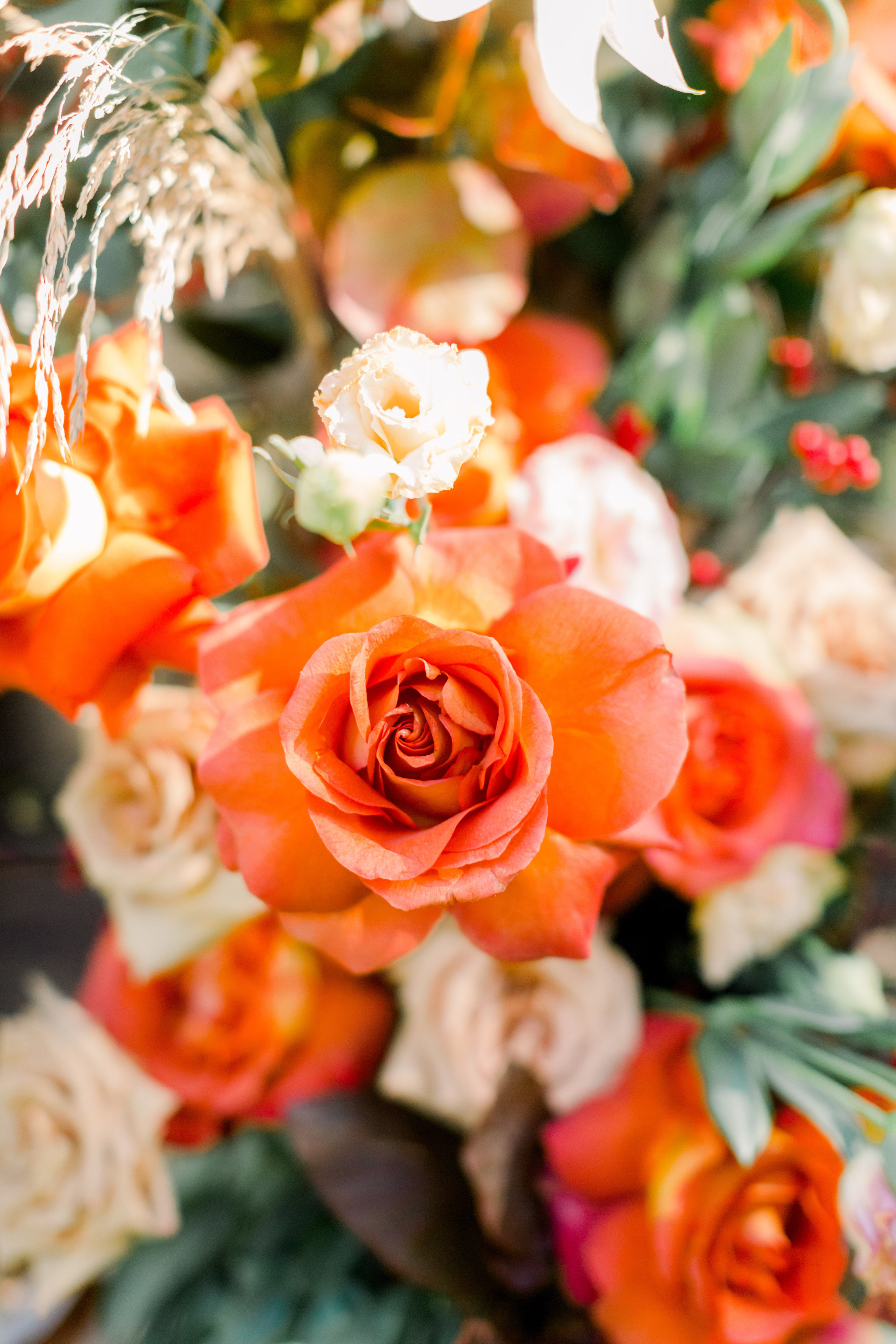 Margot + Johnny Married