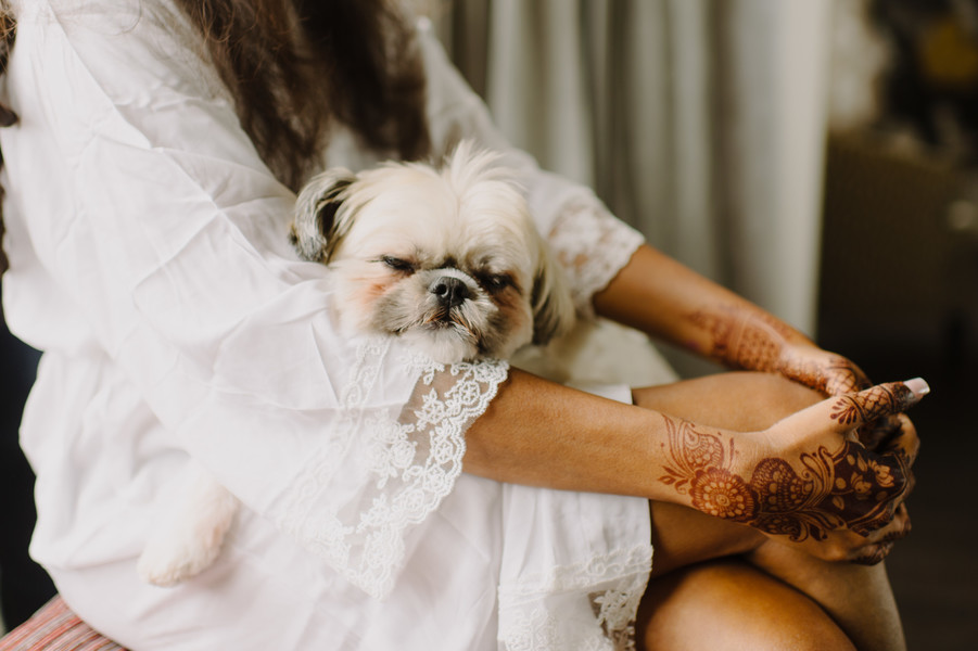 Mathai_Padavil_L_low. Hewitt Photography_SarahFari26 Mathai_Padavil_L_low. Hewitt Photography_SarahFari26