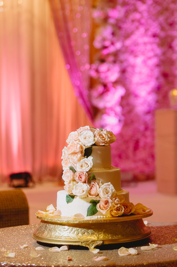 Mathai_Padavil_L_low. Hewitt Photography_SarahFari644 Mathai_Padavil_L_low. Hewitt Photography_SarahFari644