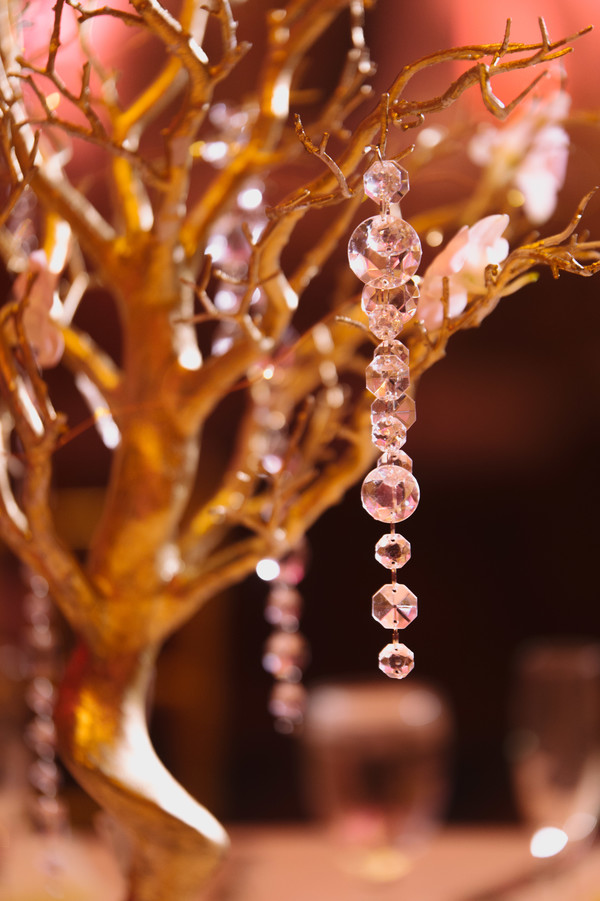 Mathai_Padavil_L_low. Hewitt Photography_SarahFari657 Mathai_Padavil_L_low. Hewitt Photography_SarahFari657