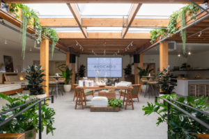 Avocado, Seller of Organic Mattresses, Will Open Its First DC Store (With Kombucha on Tap)